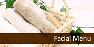 フェイシャルメニュー