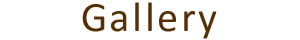 ギャラリー